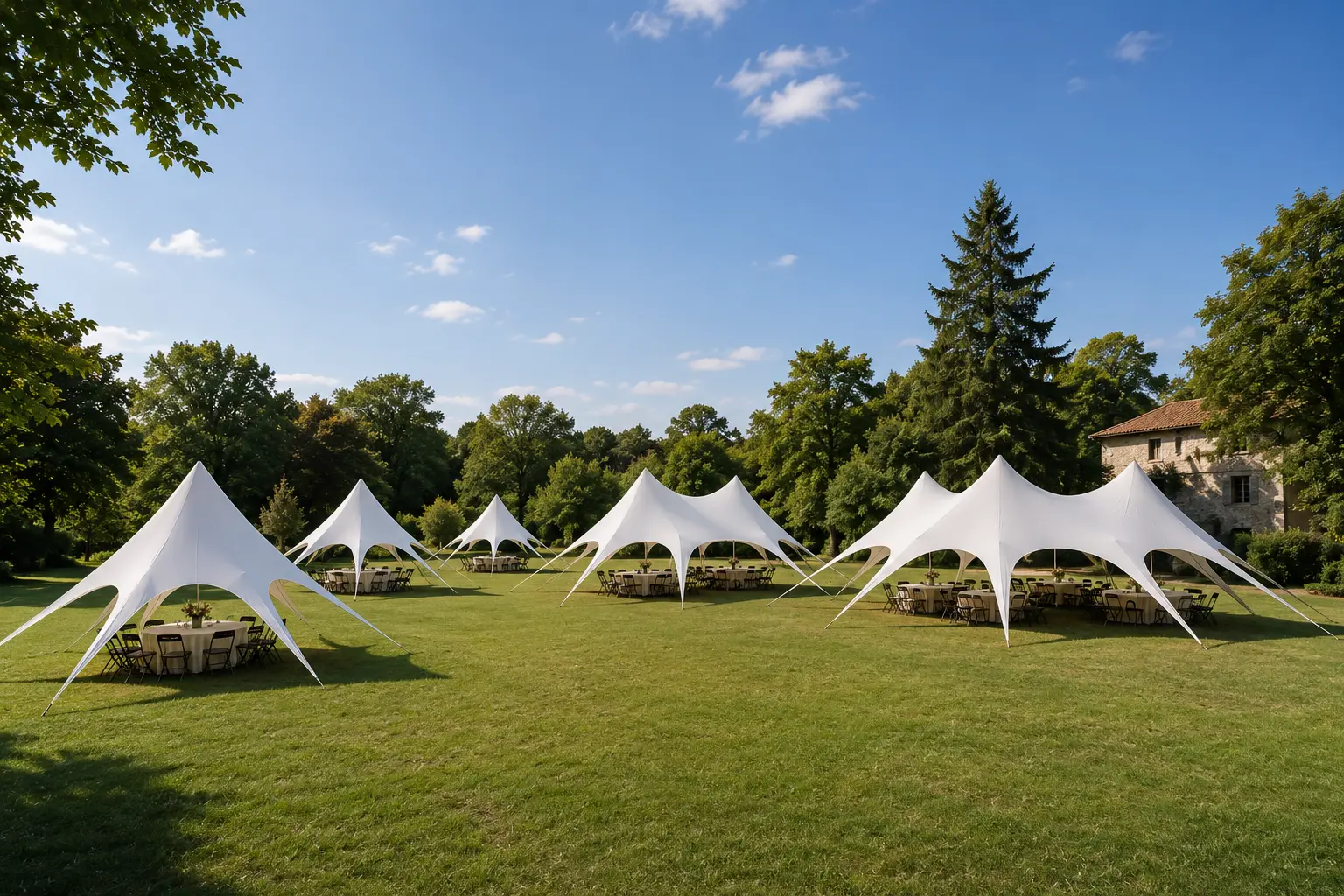 Canopée triple 20 × 8 m, structure vue d'ensemble